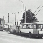 avenida 1975